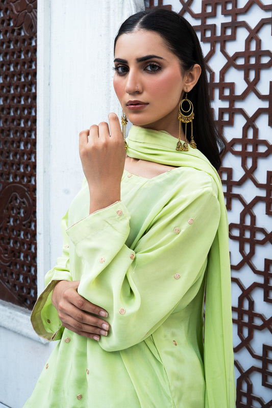 SA Pistachio Grace Embellished Suit